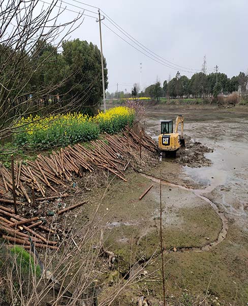 山东河道木桩