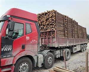 山东杉木桩装车...