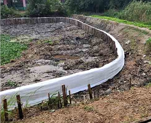 山东山东河道木桩