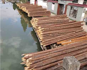 山东河道木桩