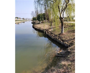 山东河道木桩