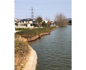 山东河道木桩