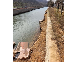 山东山东河道木桩