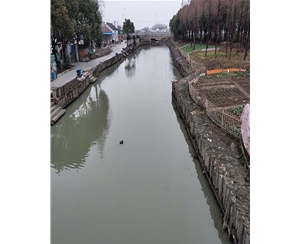 山东山东河道木桩