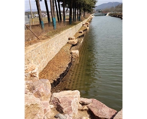山东山东河道木桩